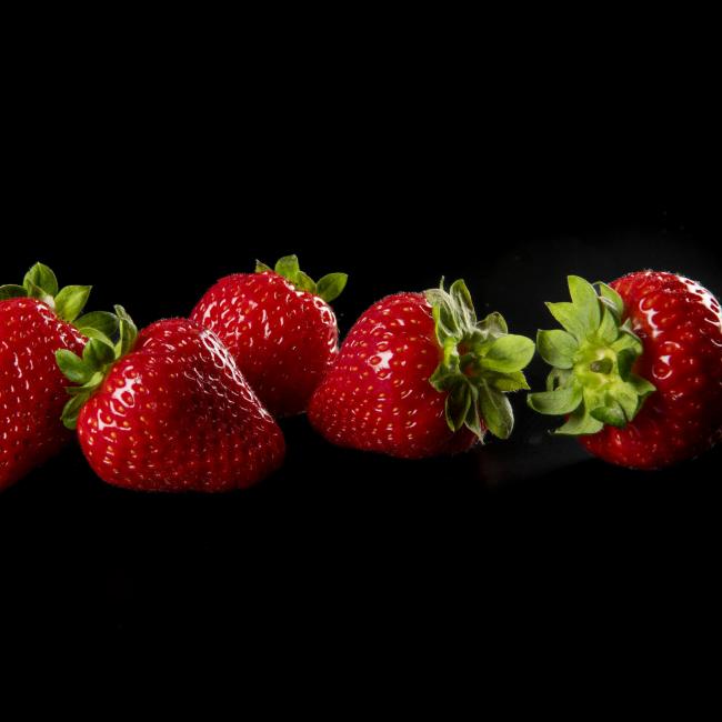 Pressemitteilung: F1 Hybrid Strawberries